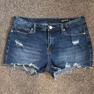 Blank NYC Blue Distressed Jean Shorts